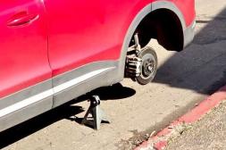 Látidos: Basta, Taxis en infracción, contenedores revueltos y más...