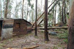 Relevan 23 viviendas afectadas en  Campo de Todos tras el temporal 