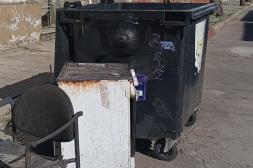 Latidos: Todo les sirve, Tarea a destacar y más...