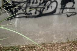 Latidos: Muros de nadie, Juntan firmas y más...