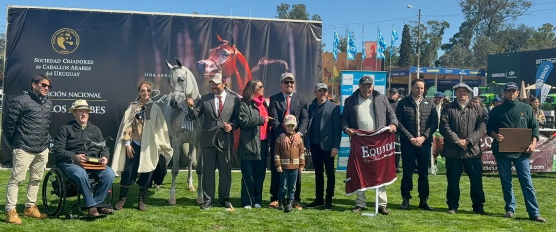 Katara, se consagró como la mejor yegua de la raza Árabe en la Expo Prado. Foto: Manuela García Pintos, El País.