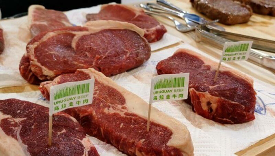 El mercado de haciendas para el campo continúa "demandado para todas las categorías", de acuerdo con la última reunión semanal de la Asociación de Consignatarios de Ganados (ACG), con subas en los precios de casi todas las categorías, pero a destacar la a