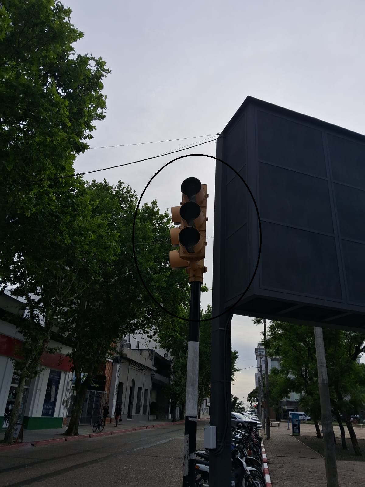 Latidos: No funciona, alcohol y celular y más...
