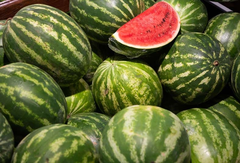 Ingresan las primeras partidas  de boniato de reciente cosecha