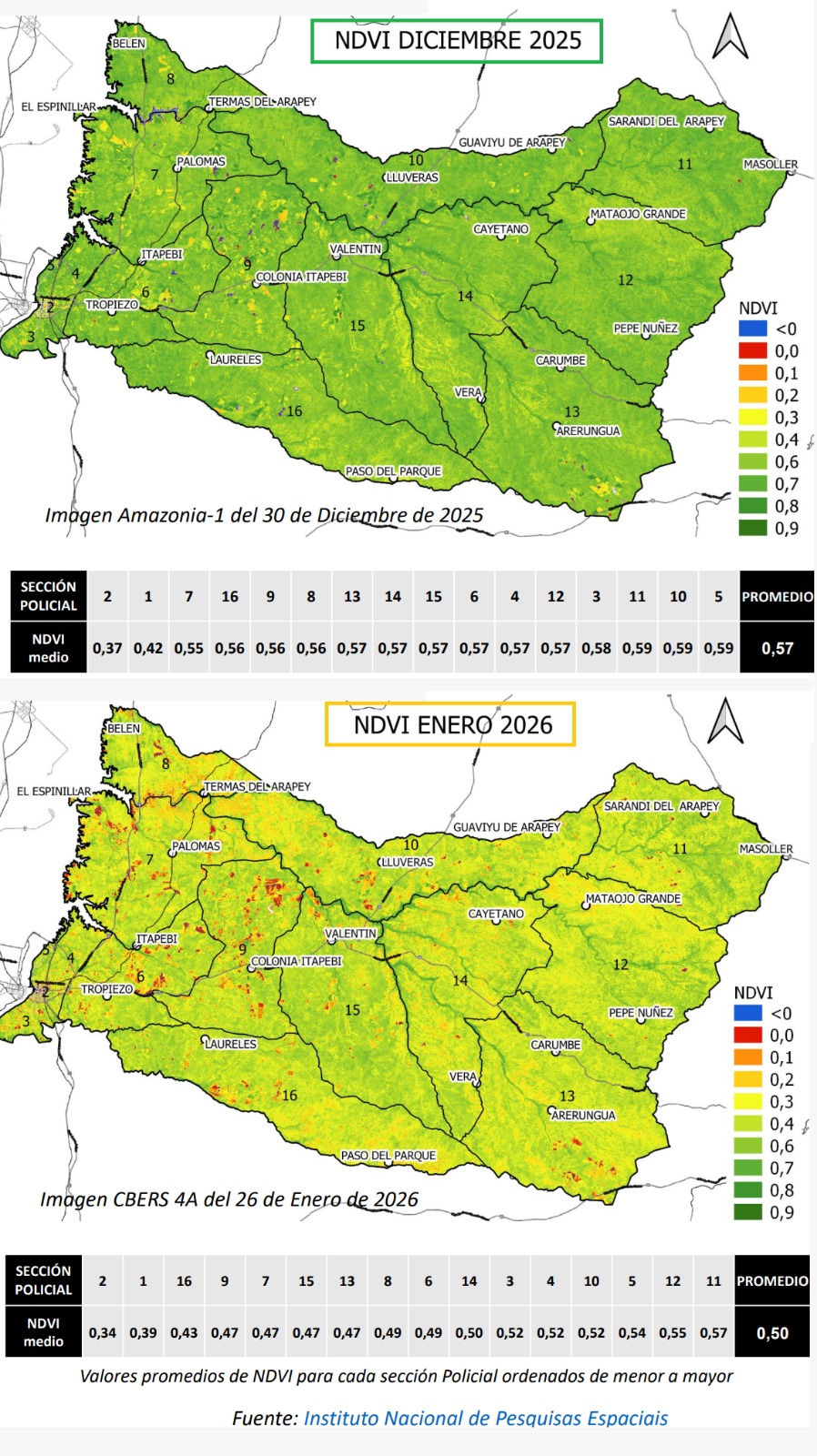 Alerta en el agro: : Monitoreo satelital revela fluctuaciones en la salud de las pasturas en Salto