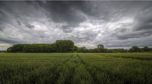 Febrero inicia con calor extremo y la promesa de "El Niño" para reactivar los campos