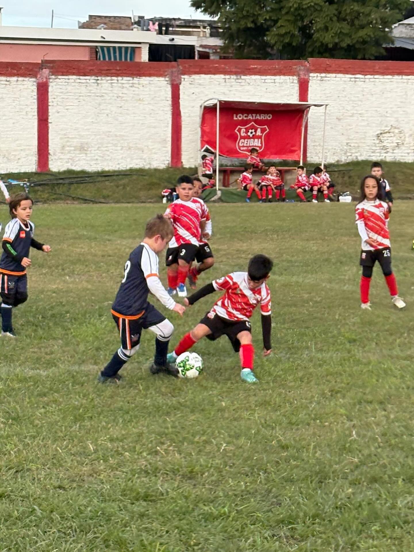 Baby Fútbol  El Campeonato Salteño  comenzará el sábado 11 de abril 