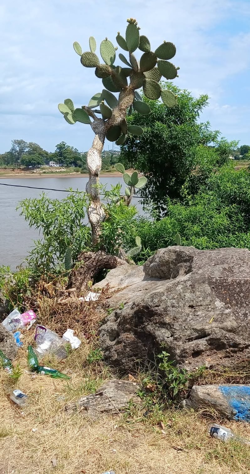 Latidos: Basura en la costa,engorroso y más...