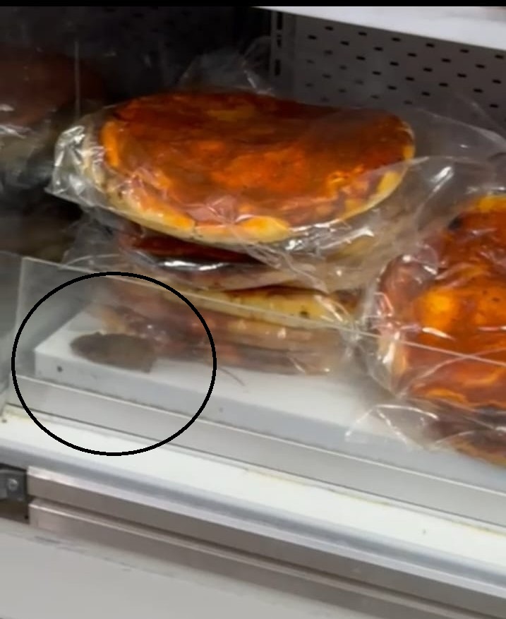 Presencia de roedores y falta de controles bromatológicos vuelven a activar alarma por falta de higiene en comercios