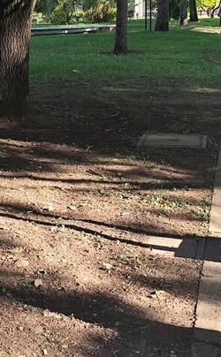 Latidos: Canteros secos, cuadra oscura y más...