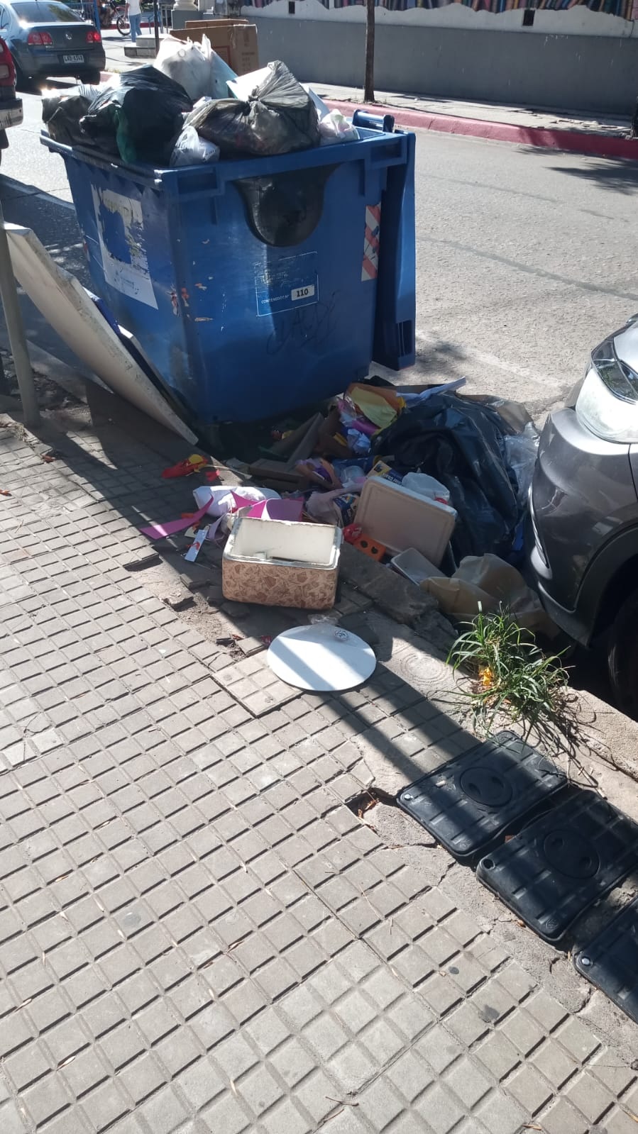 Latidos: No puede pasar, pediculosis y más...