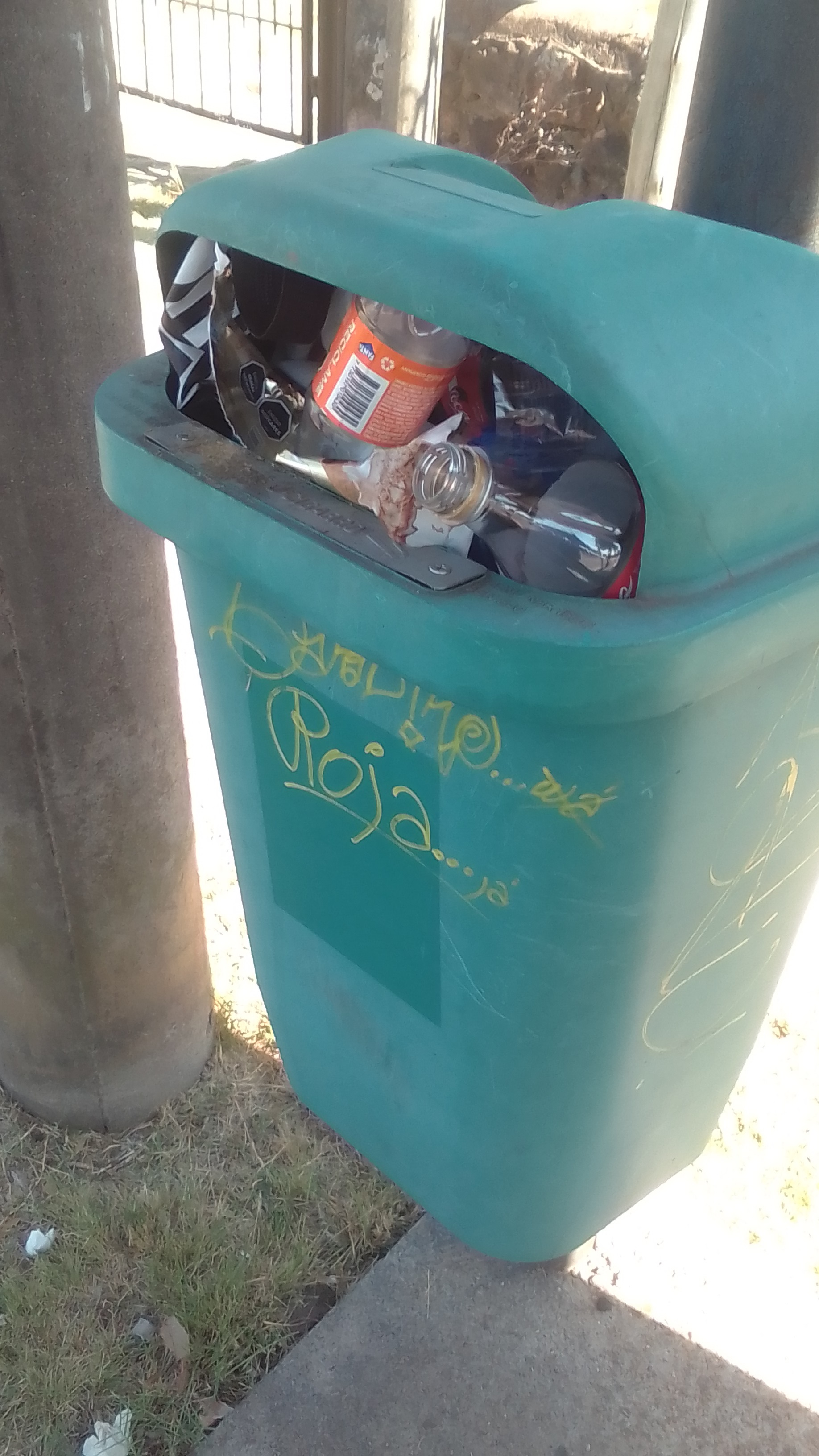 Latidos: Tachos a tope, baldosas en la ruina y más...