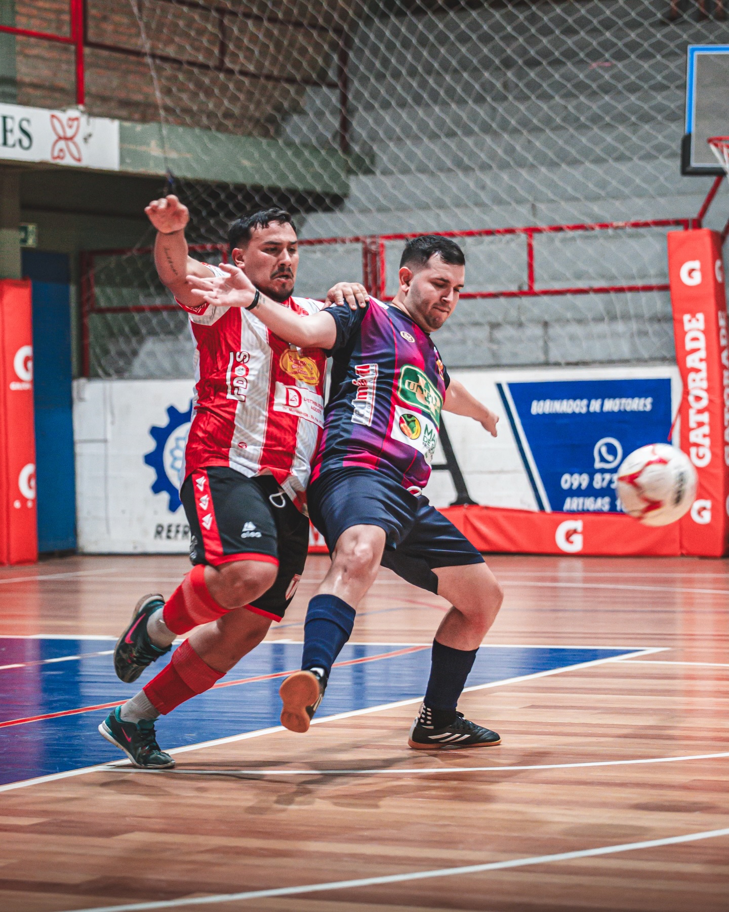 Cerro quedó primero solo  en la Divisional B del futsal