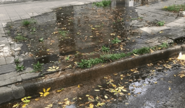 Latidos: Vidrios en la plaza, samba en la costa y más...