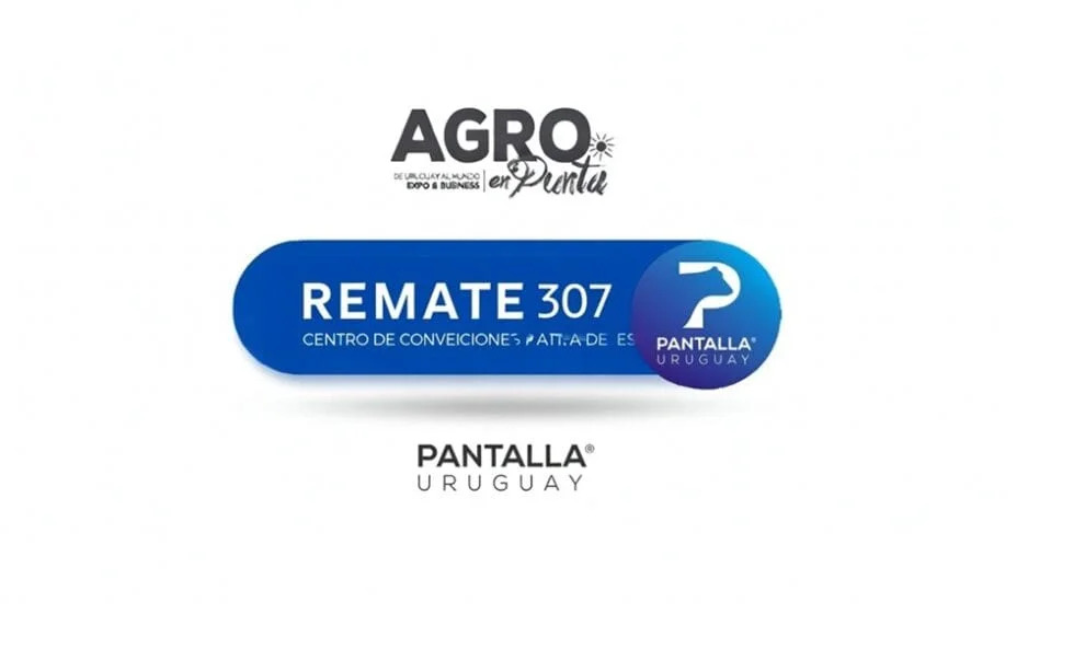 Pantalla Uruguay rematará hoy más de 7.000 vacunos, en Agro en Punta