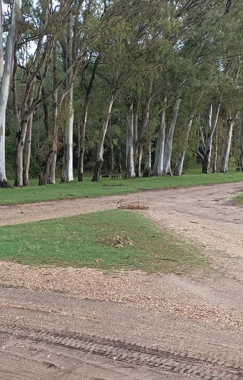 Latidos: Espacio natural, invasión de mosquitos y más...