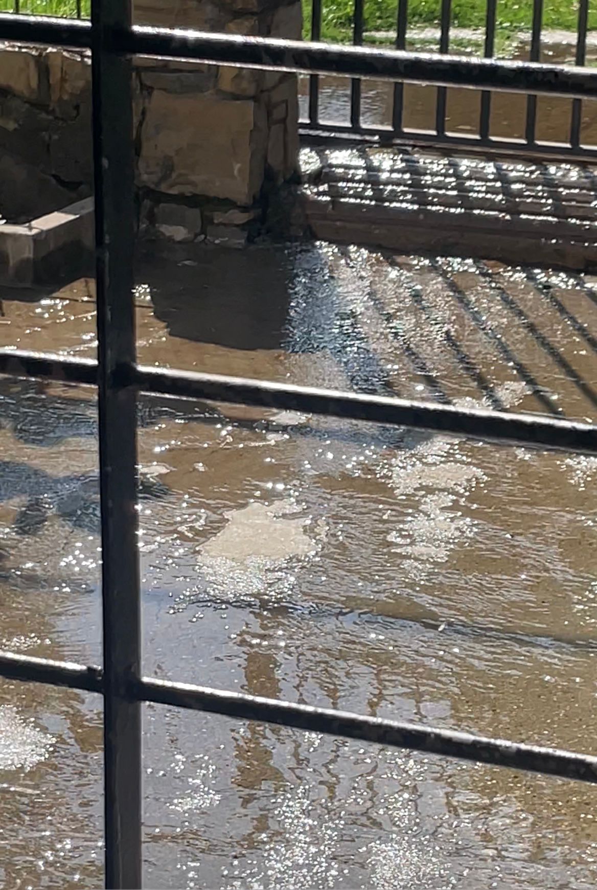 Latidos: Inoperancia de OSE, No más palco y más...