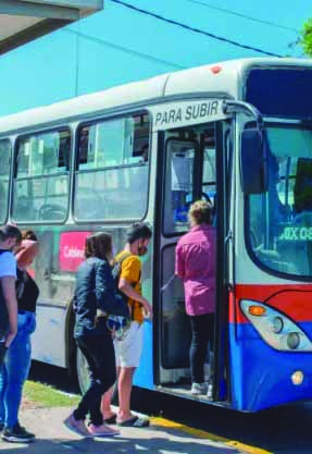 Látidos: Mayor demanda, ramas sobre la vereda y más...