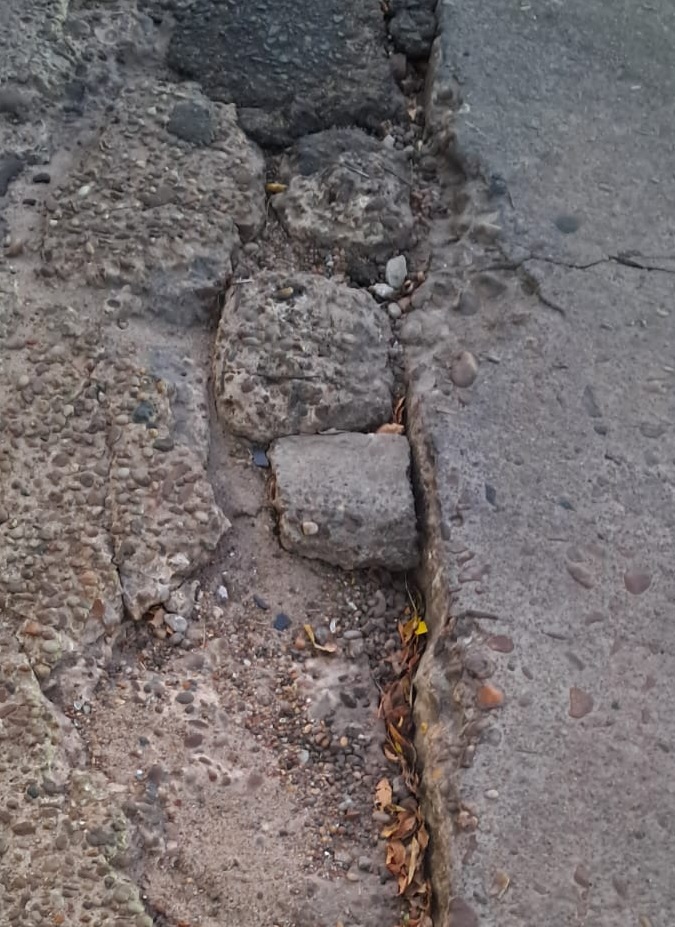 Latidos: Profundo y peligroso y más...