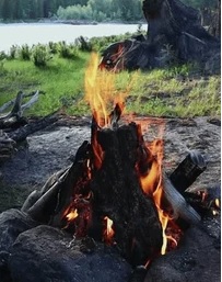 Látidos: Fogones en la costa, No los convocaron y más...
