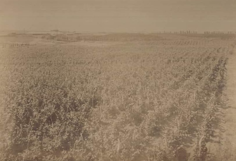 Fotografía de la Biblioteca Nacional de Uruguay.