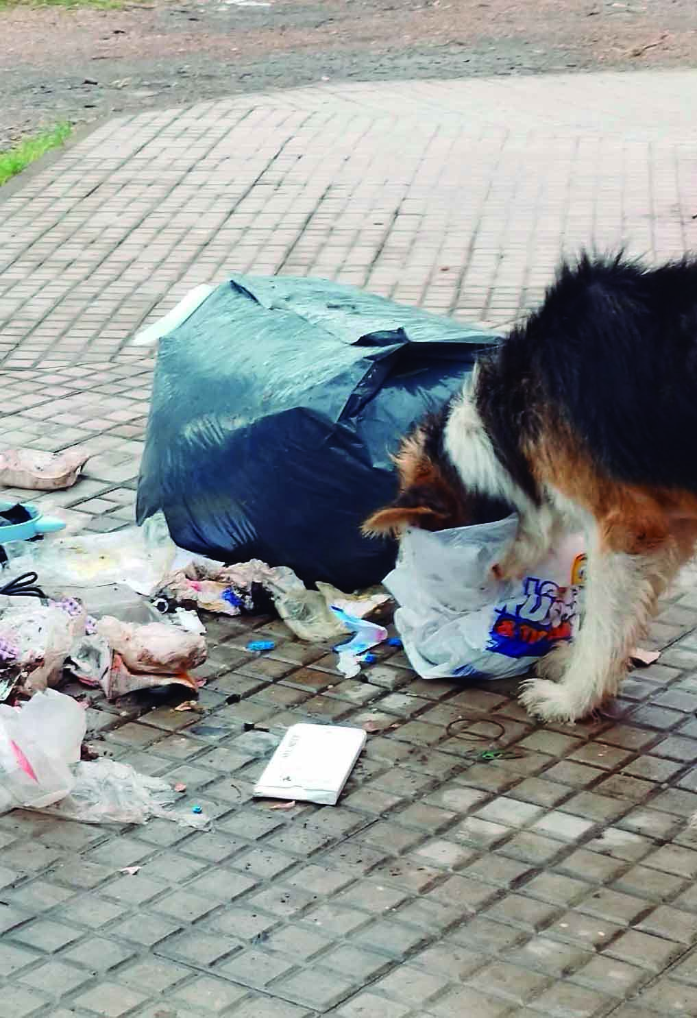 Latidos: Imagen que se repite, luces intermitentes y más...