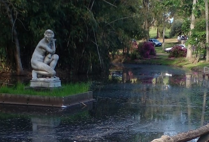 Intervendrán en lago del Parque Solari  ante denuncias de vertidos industriales