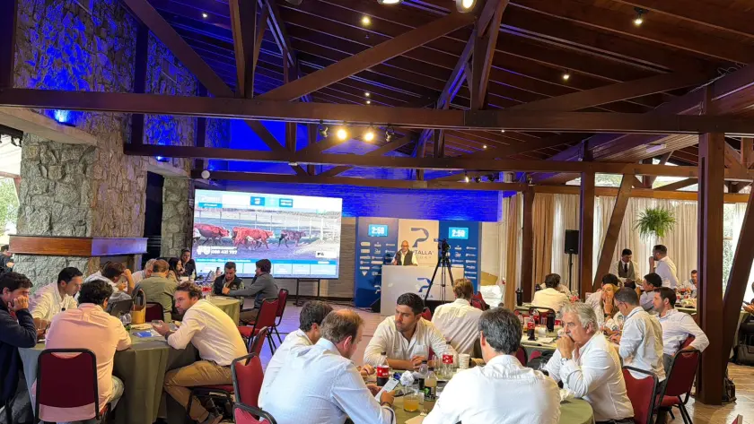 Venta total de terneros Angus y Hereford en el 6º remate “Select” de Pantalla Uruguay 