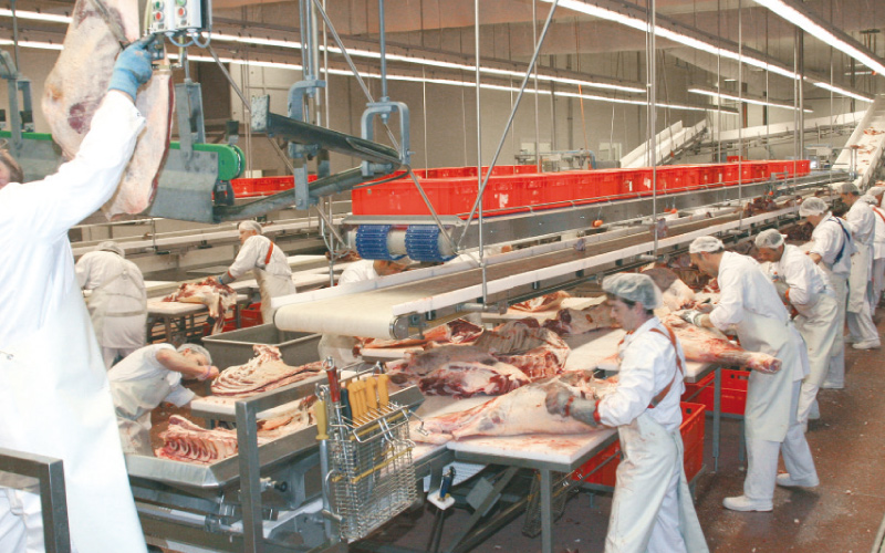 “La Caballada” trabaja 3 o 4 días a la semana  debido a falta de ganado y al precio de mercado 