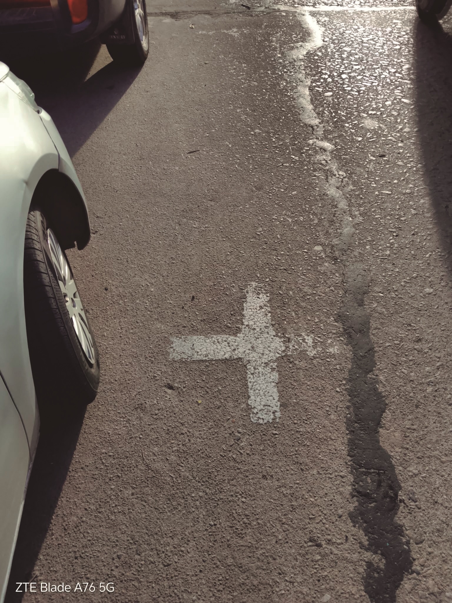 Latidos: Señalización en la feria, zafra de arroz a pleno y más...