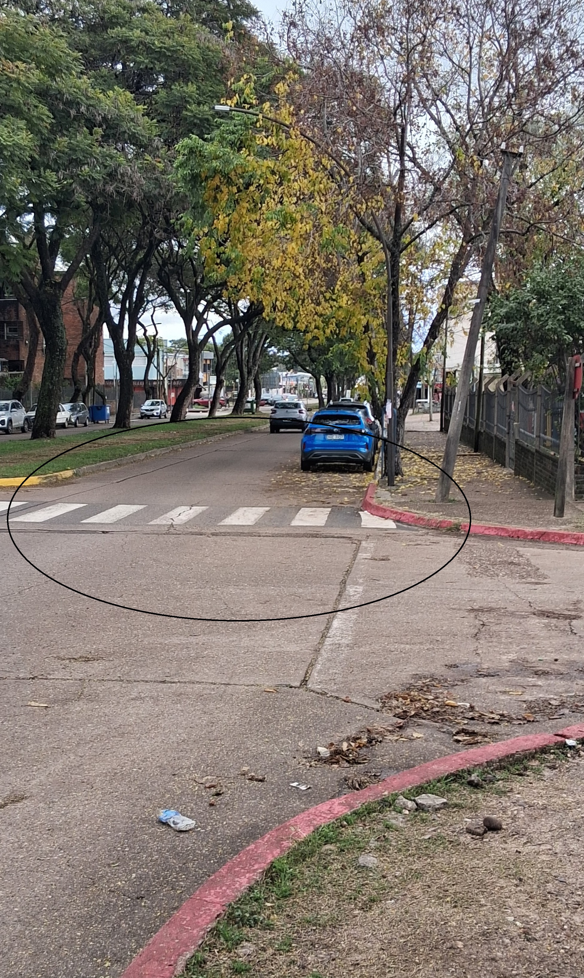 Latidos: Atropellada en una cebra, juegos infantiles y más...