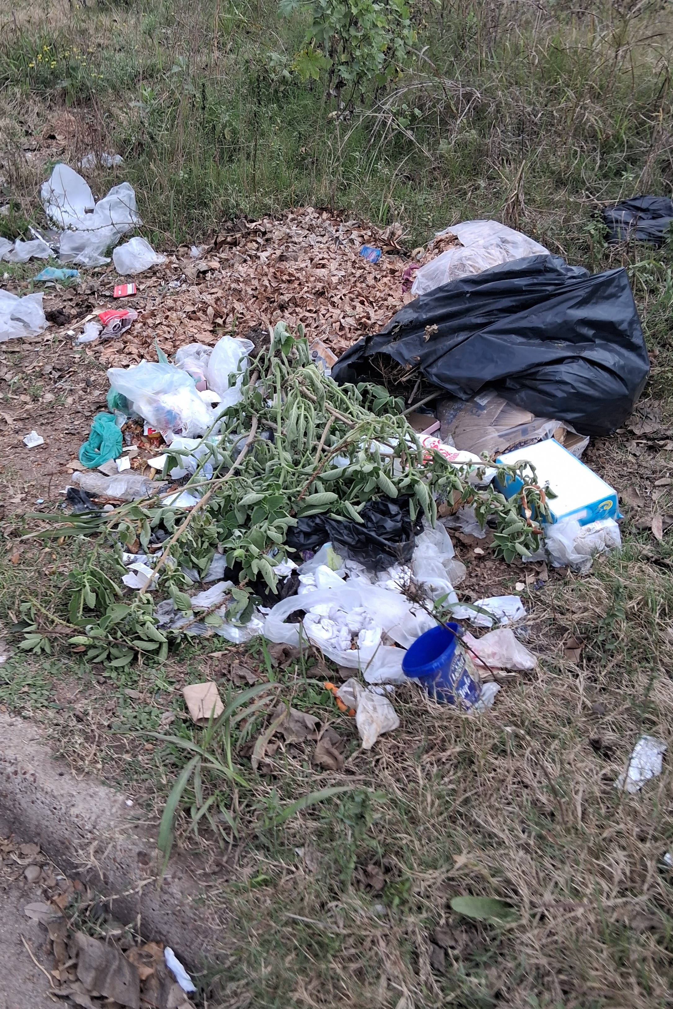 Látidos: Basura acumulada,  podas a pleno, motos en la vereda y más...
