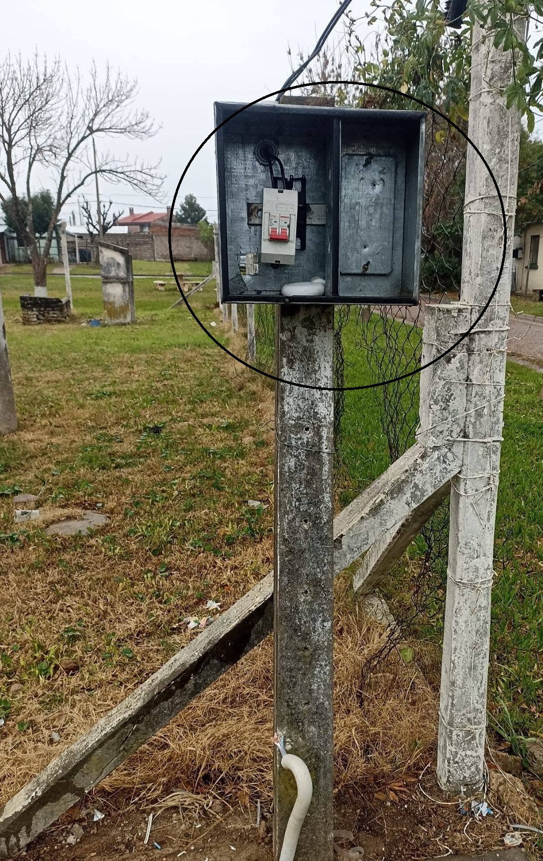 Latidos: Vandalismo que no cesa, Malas intenciones y más...