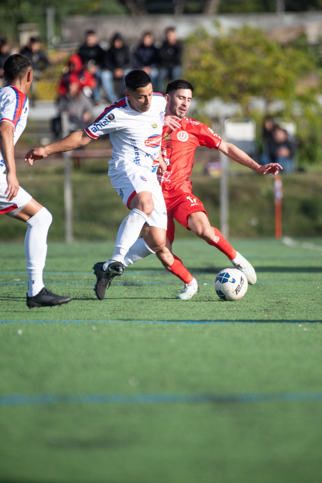 Universitario logró el pase en la última fecha.