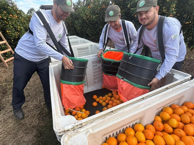 El Ministerio de Ganadería insta a productores frutihortícolas a registrarse antes el vencimiento para evitar demoras