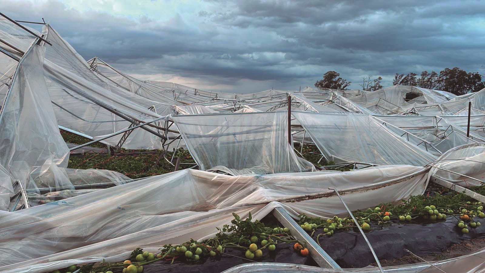 Látidos; Destrozo de invernáculos, UBA 5 cerrada y más...