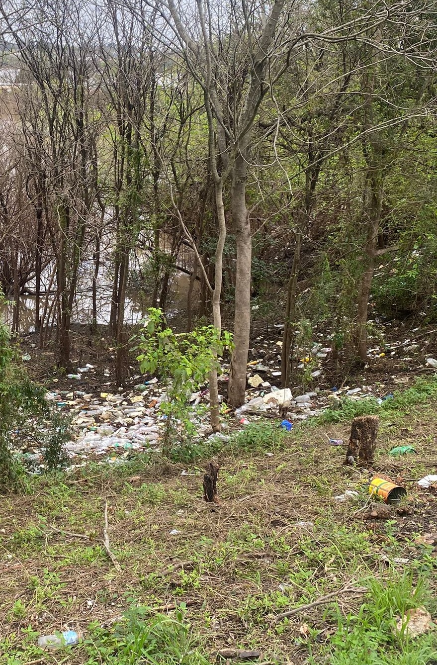 Latidos: Basura acumulada, Testigos vivientes y más...