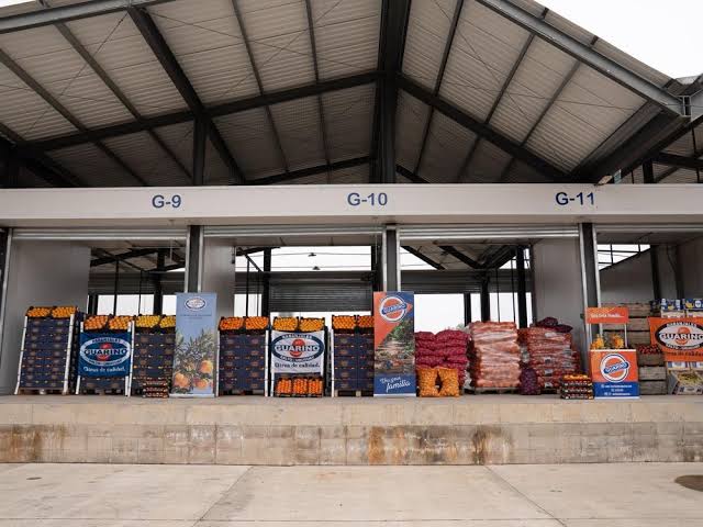 El clima inestable frena la comercialización hortaliza en la Central Hortícola del Norte con cotizaciones estables