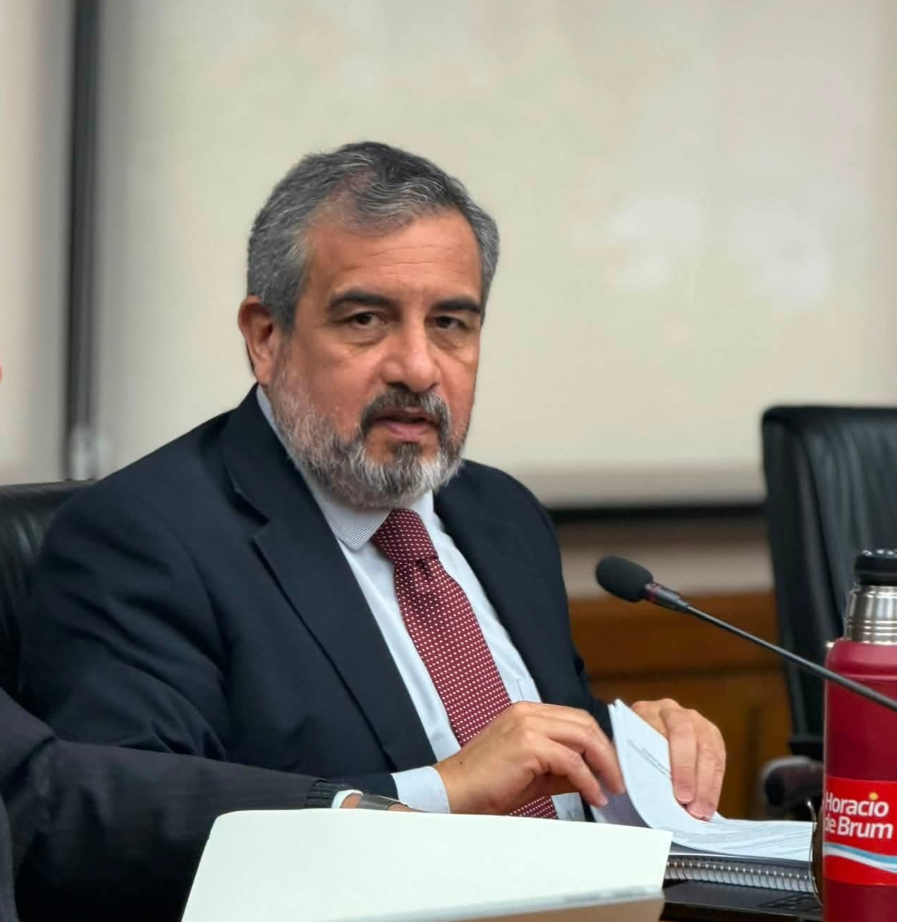 "Salto no necesita que le inventen una capital: se ganó ser la Capital Nacional del Ovino", la contundente iniciativa parlamentaria impulsada por el diputado Horacio de Brum