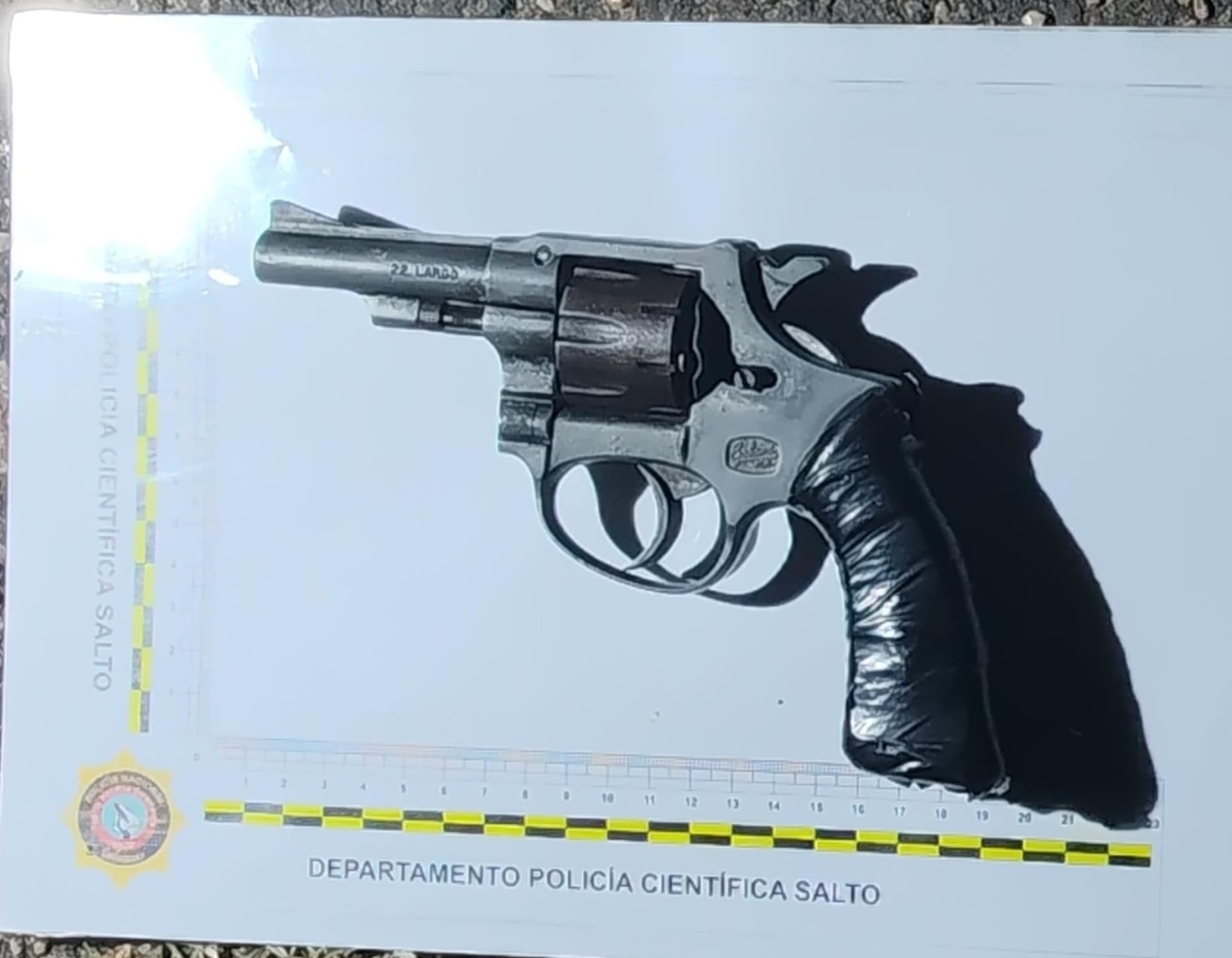 Frustran venta ilegal de un revólver en un operativo policial en Andresito