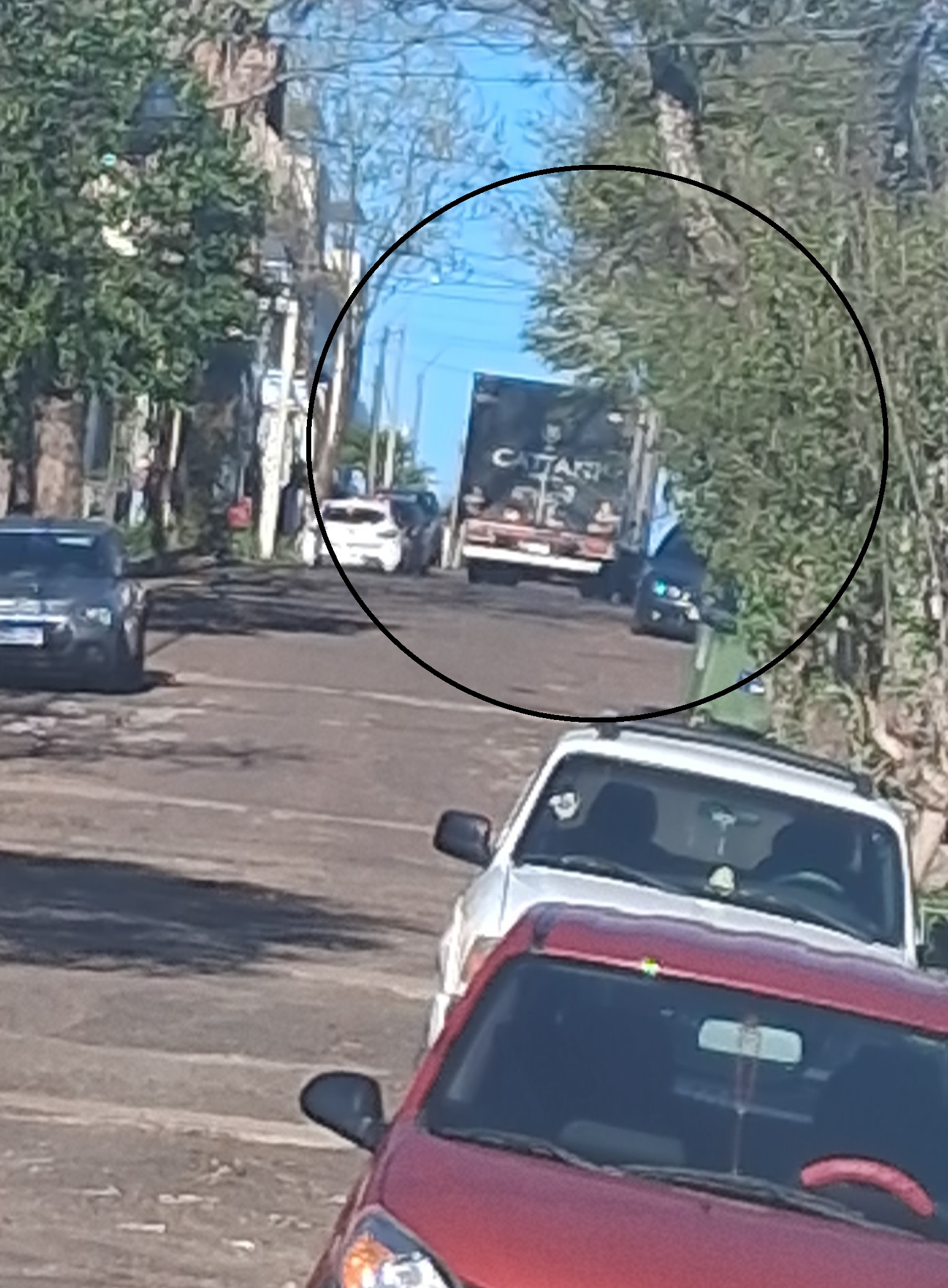 Latidos: Camión contraflecha, Pasto alto y más...