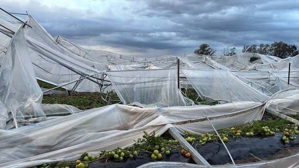 El temporal marcó un antes y un después para el sector hortícola salteño que busca reconstruirse tras pérdidas millonarias 