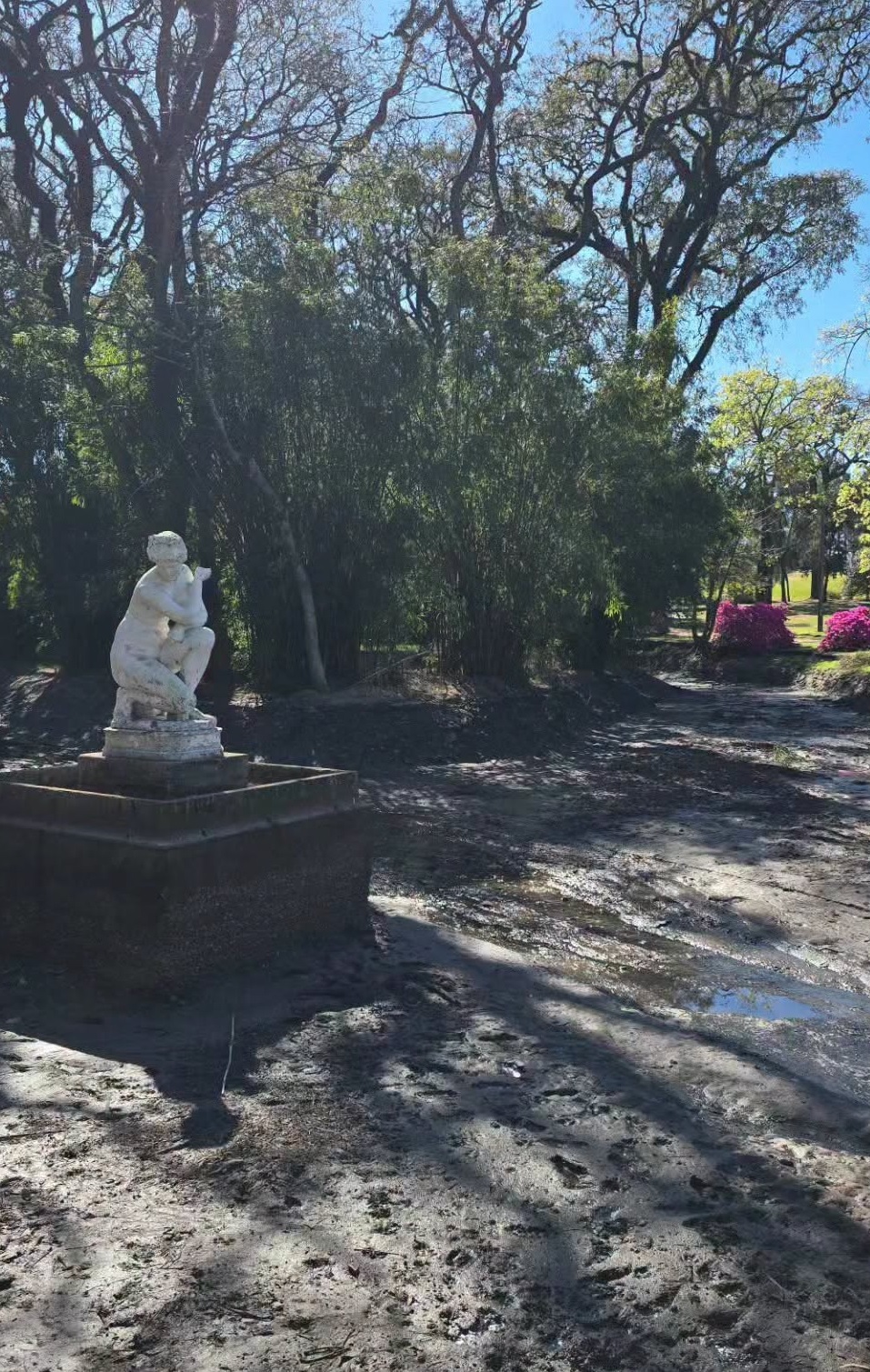Latidos: Necesario, Llega la primavera y más...