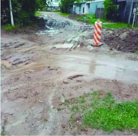Latidos: Barro en la calle, Monitoreo del picudo rojo y más...