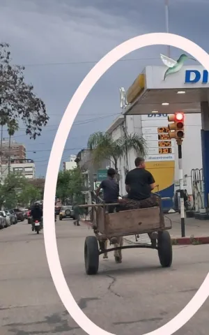 Latidos: El mundo del revés, Olores nauseabundos y más...