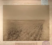 Fotografía de la Biblioteca Nacional de Uruguay.