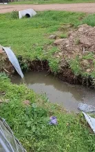 Latidos: Entre aguas servidas, Hace 50 años que pasa y más...