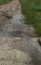 Latidos: Pasados por agua, Llamada engañosa y más...
