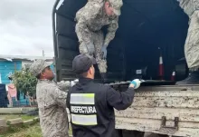 Prefectura patrulla las 24 horas las zonas  inundadas y prohíbe la navegación civil
