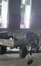 Latidos: Tracción a sangre, a oscuras y más...